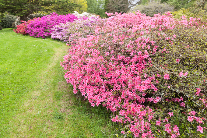 Ireland May 2015 (27)